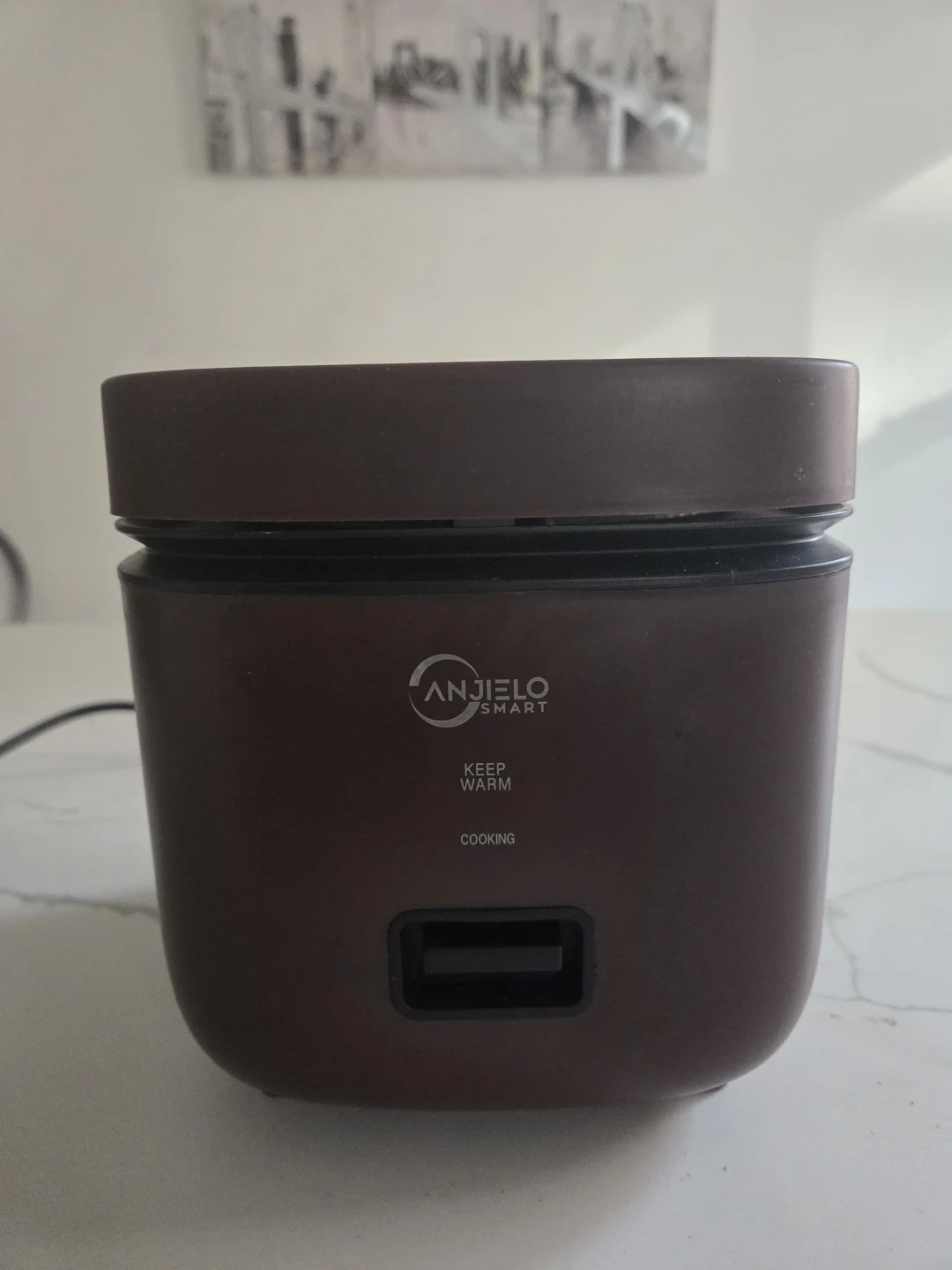 Anjielo Smart Rice Cooker