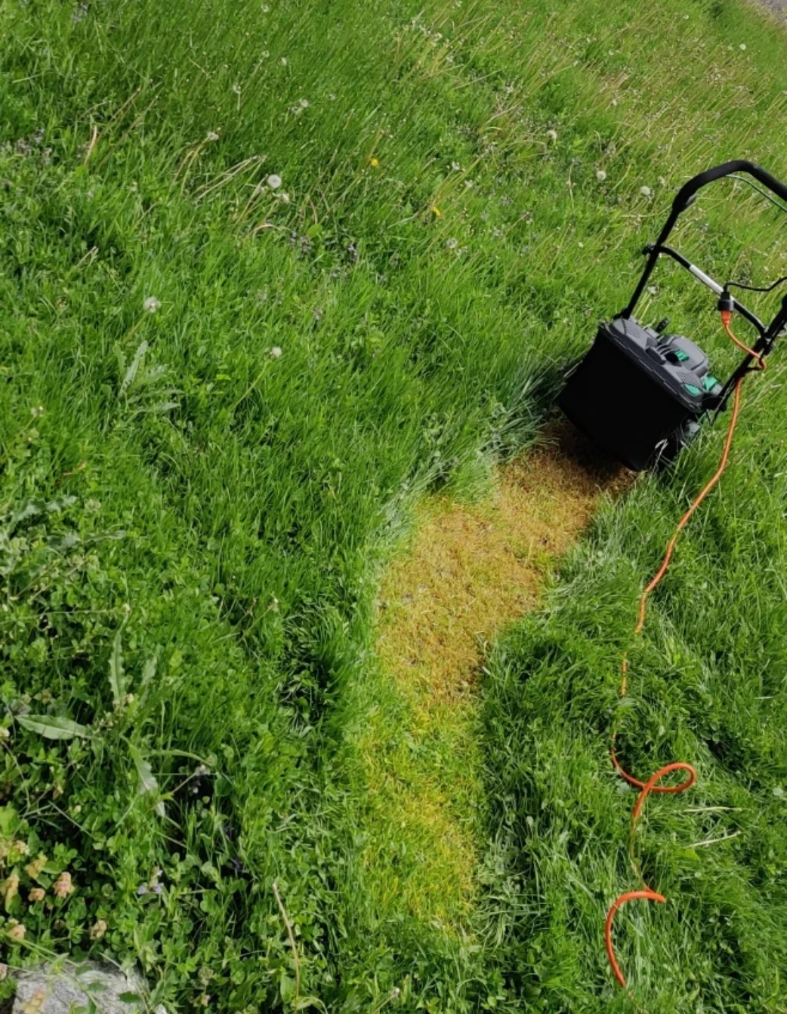 Certified 10 A Electric Lawn Mower 14" Deck - photo 4