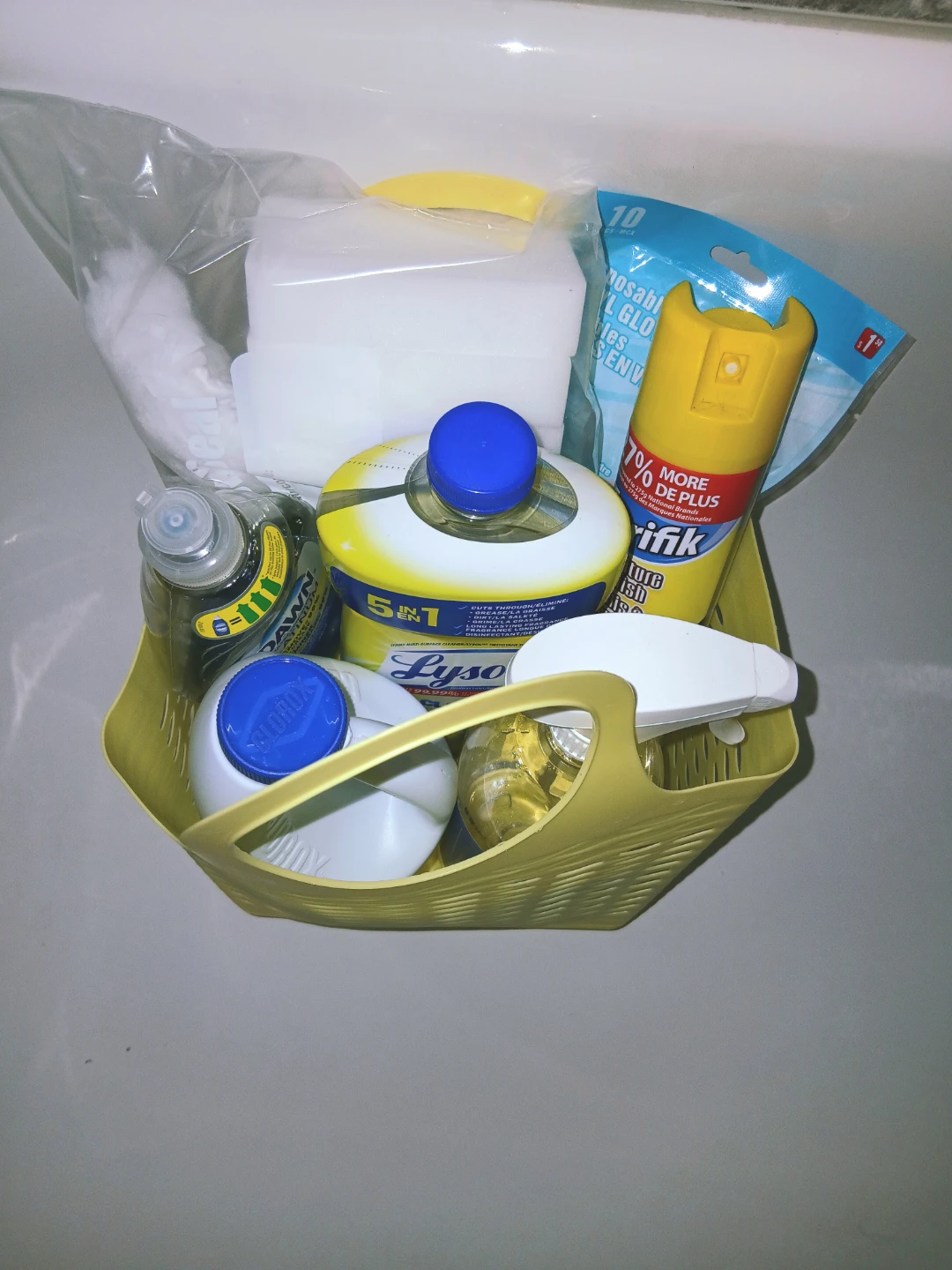 Cleaning Supplies Bundle 🥕