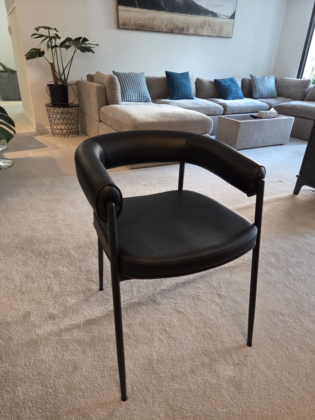 Modern Dining Chairs (Set of 6)