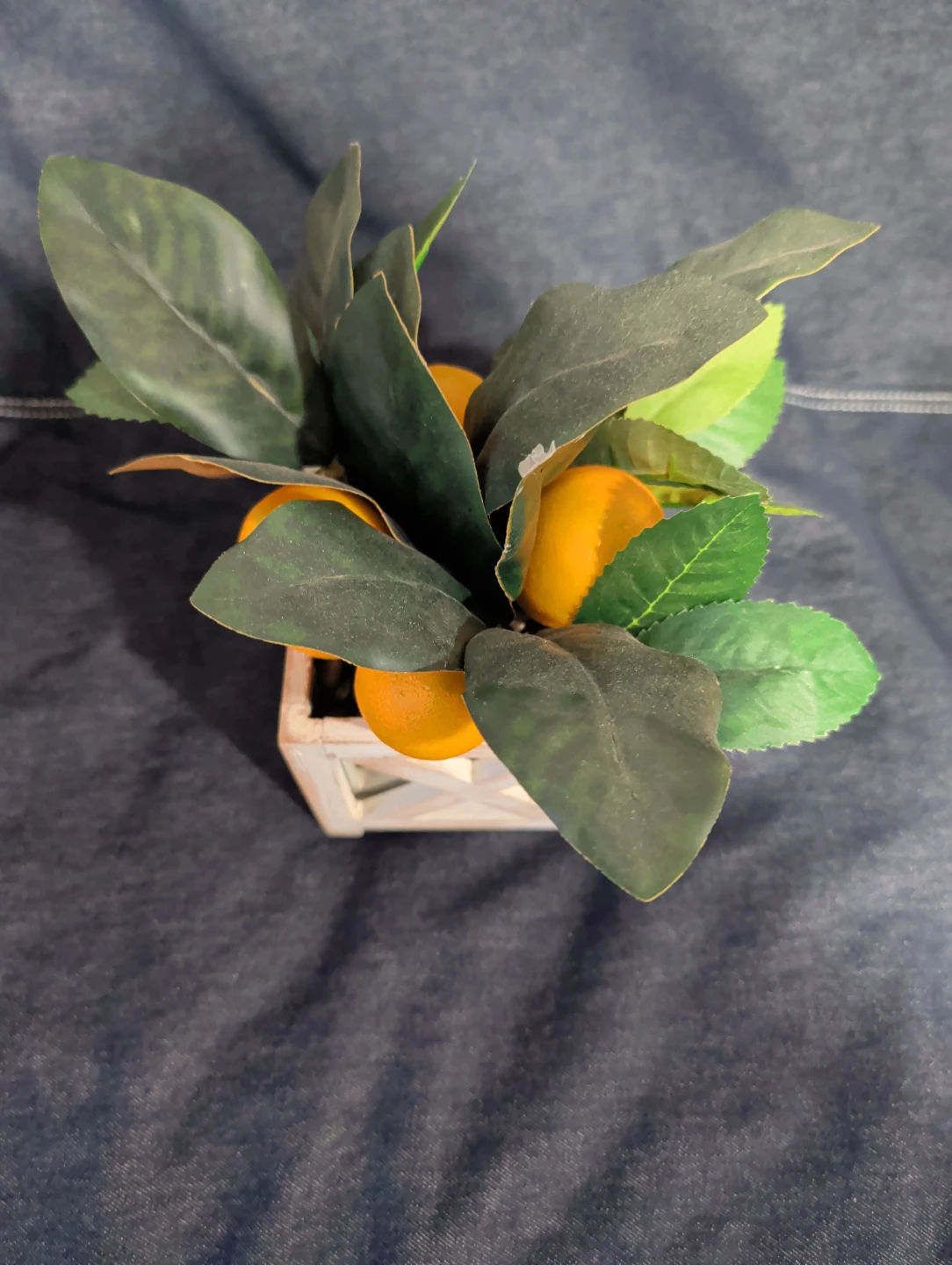 Faux Lemon Plant in Wood Box - photo 3