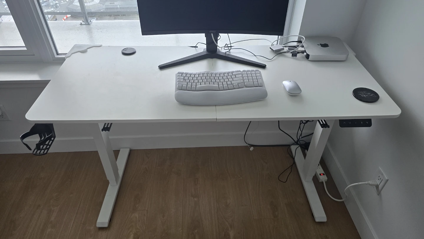 Motiongrey 55" White Adjustable Desk