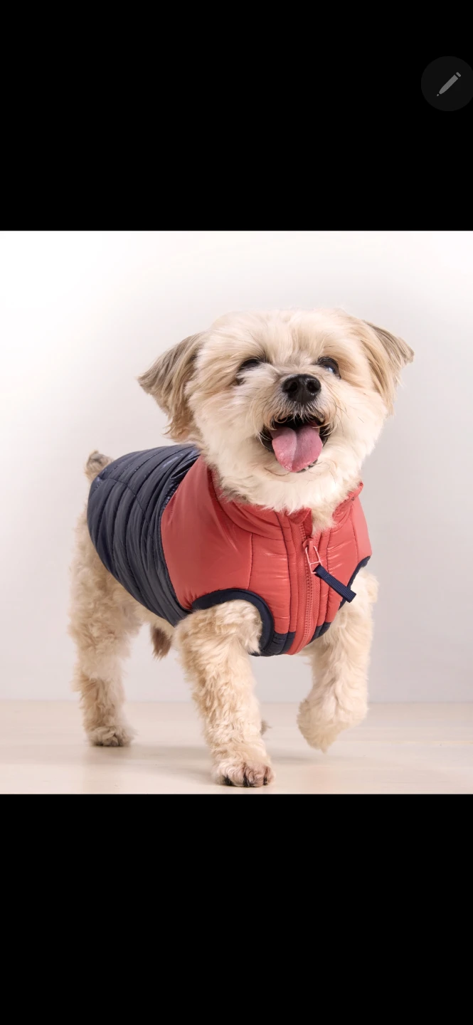 Vineyard Vines Quilted Dog Vest - Red/Navy - Size L