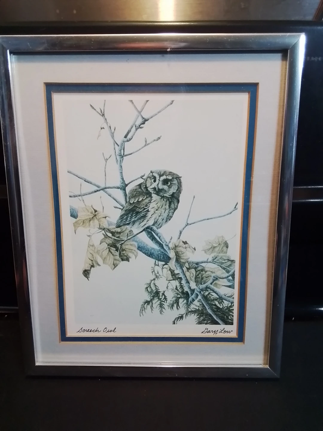 Gary Low  Signed Screech Owl 10.5x8.5"