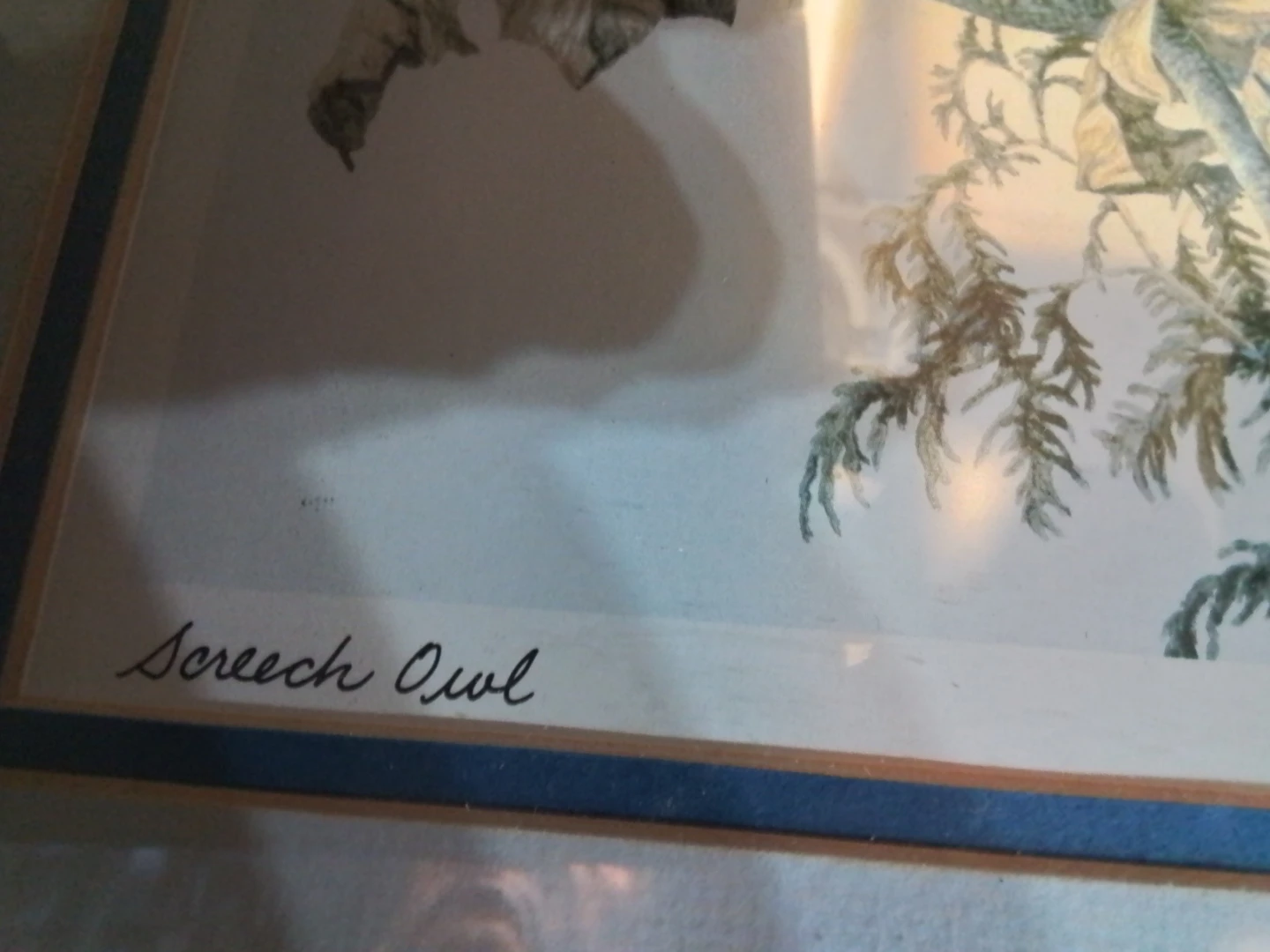 Gary Low  Signed Screech Owl 10.5x8.5" - photo 4