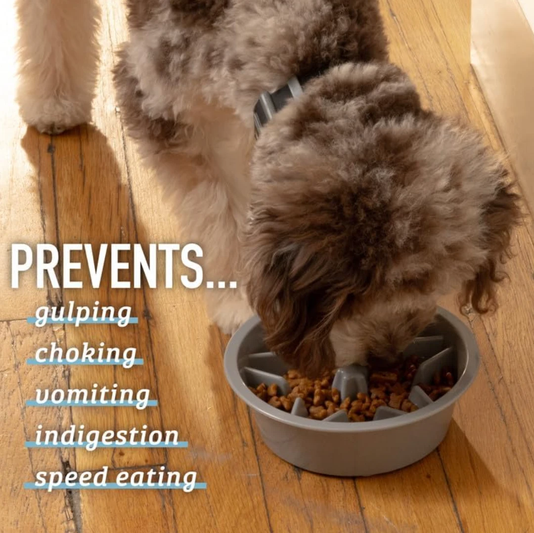 NEW !   Leashboss Dog Slow Feeder Bowl