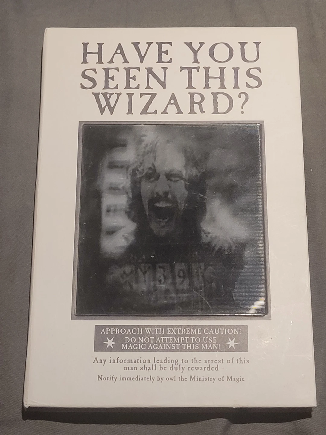 Harry Potter 'Have You Seen This Wizard?' Book
