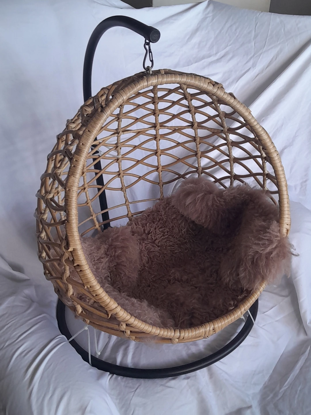 Wicker Hanging Egg Chair for Cats and Small Dogs with - photo 2