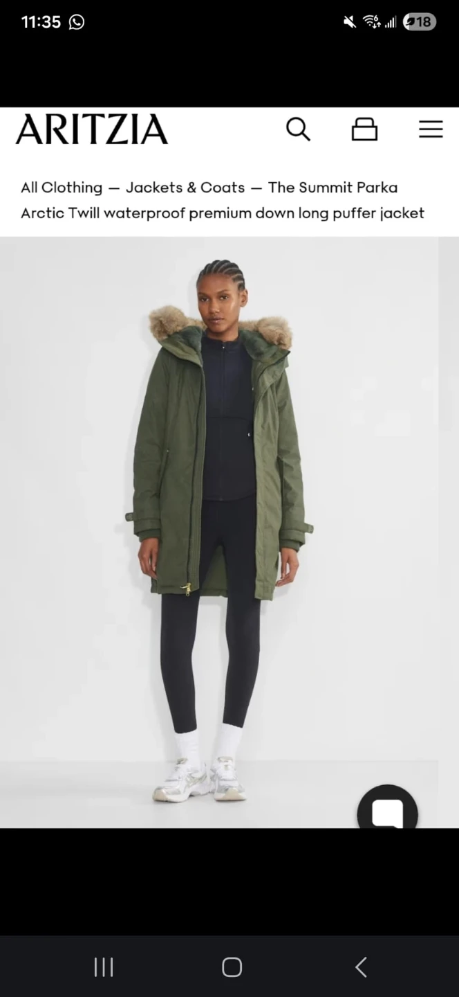 Aritzia The Summit Parka, Size L