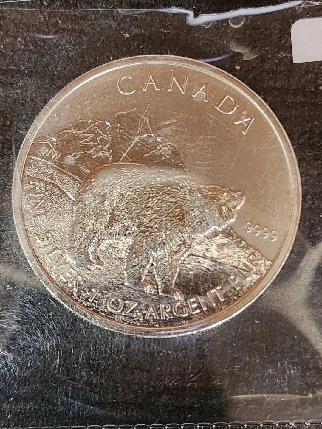 Canadian Silver Maple Leaf $5 Coin