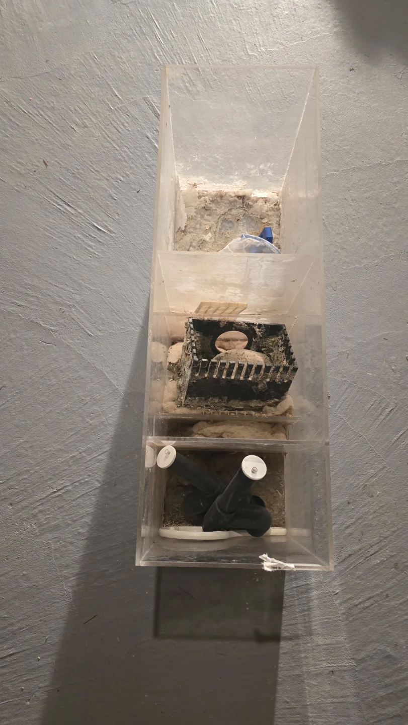 Clear Acrylic Aquarium Filter Box