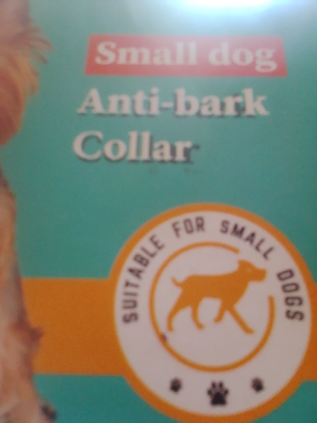Small Dog Anti-Bark Collar