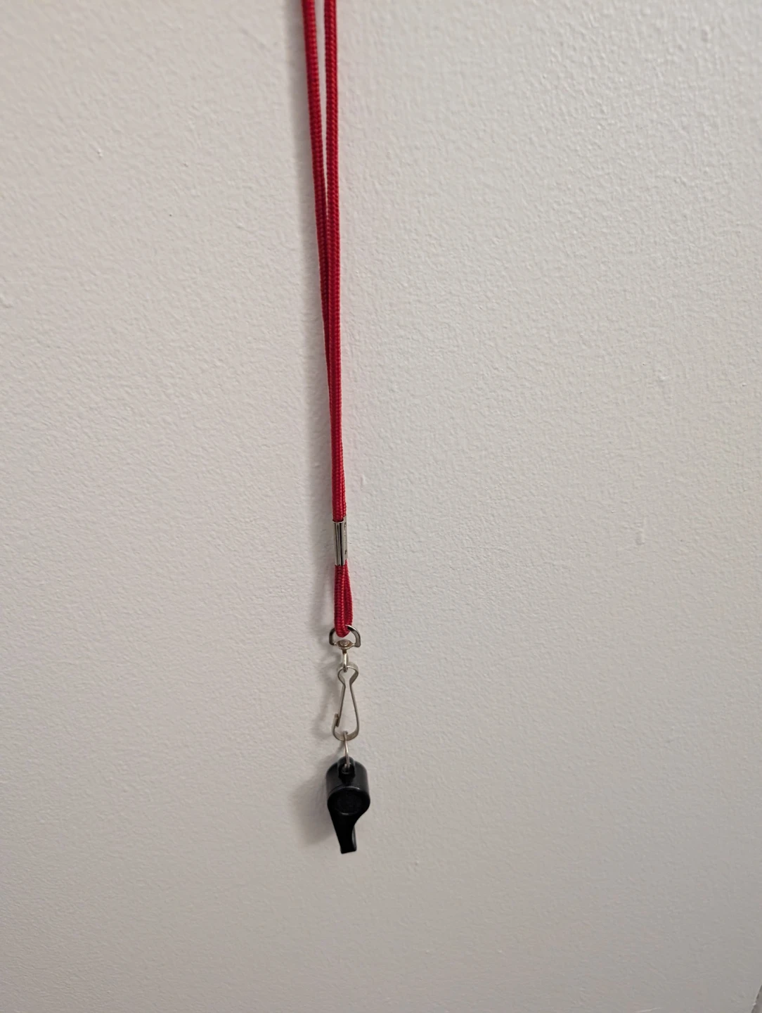 Free Black Whistle with Red Lanyard
