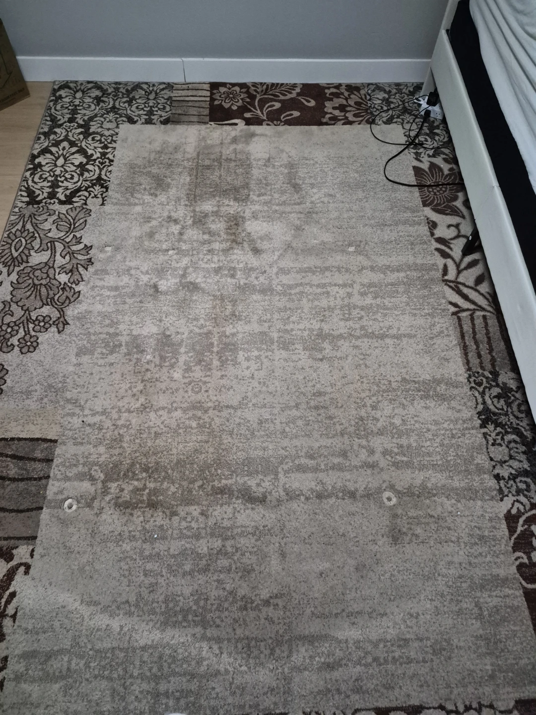 Area Rug - photo 5