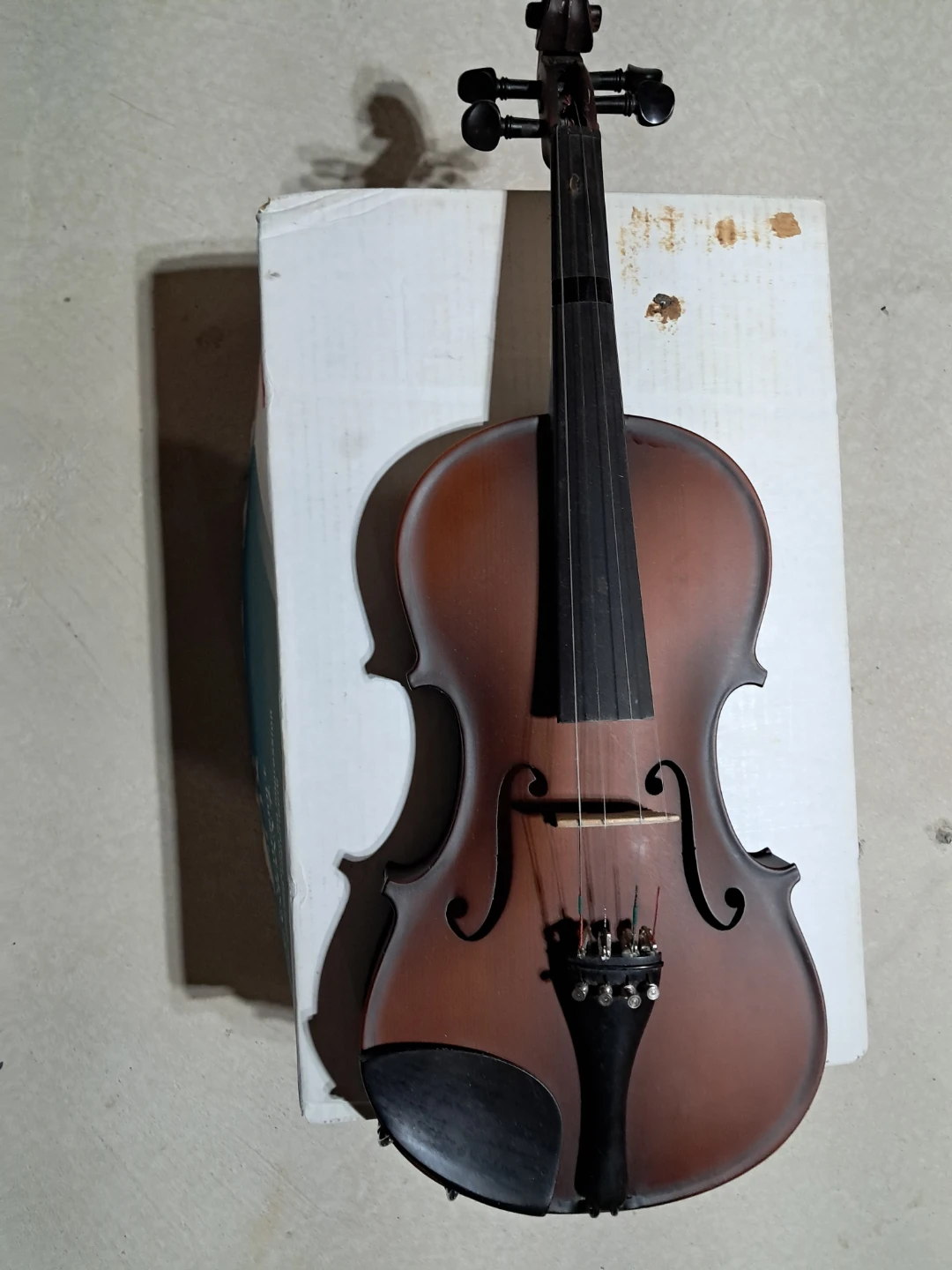 Violin with Case