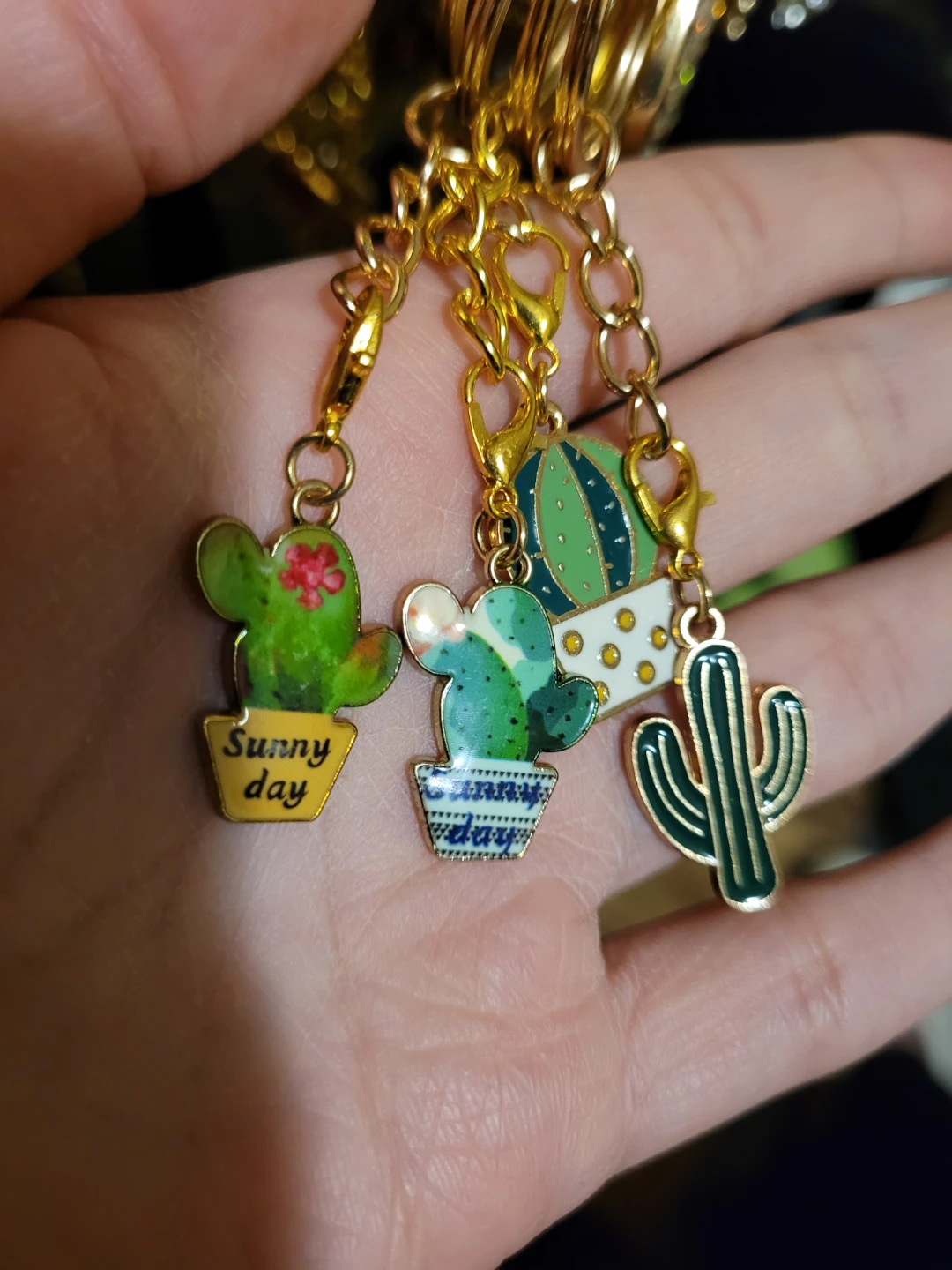 Cactus Charm Keychain Set