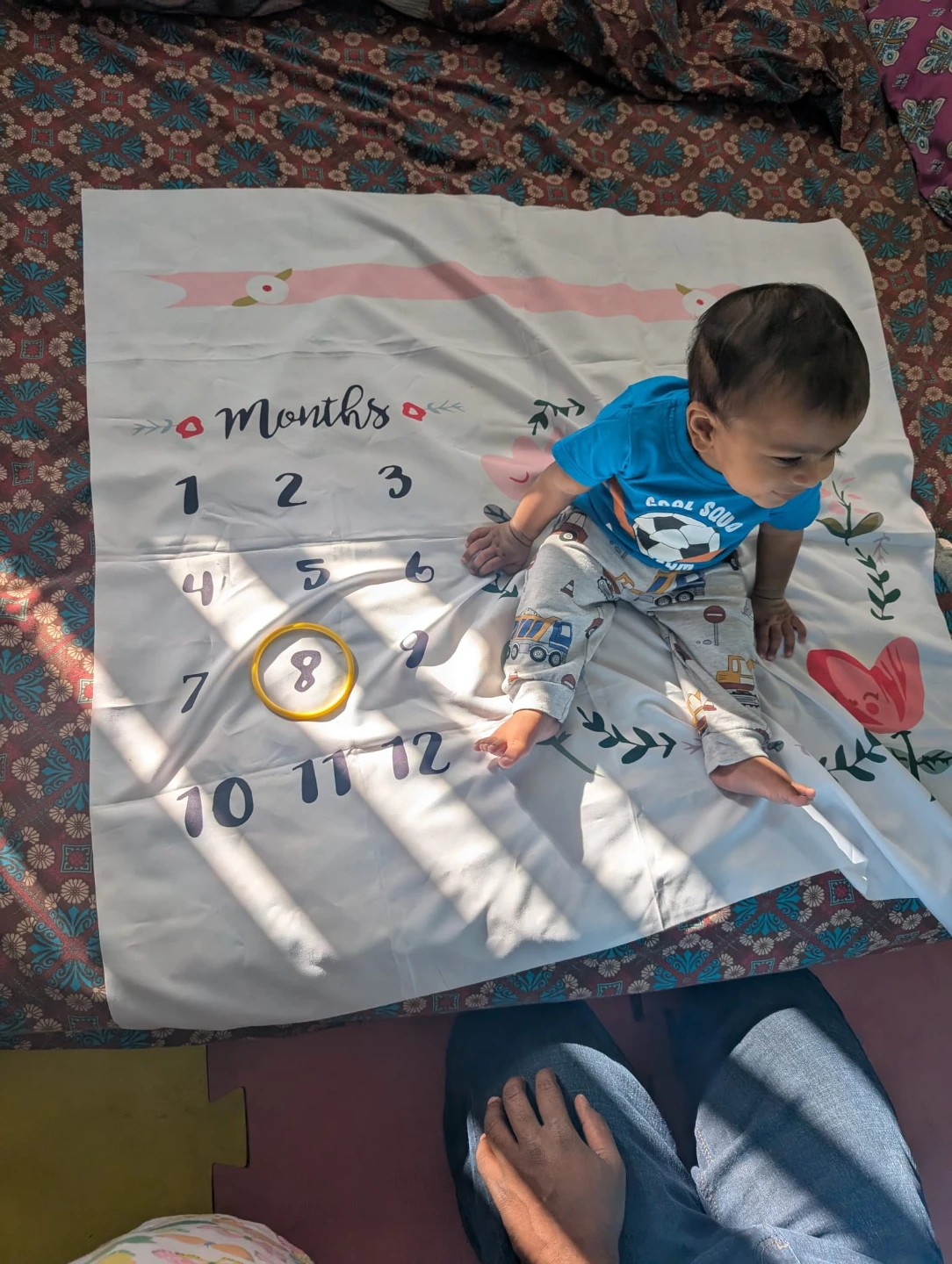 Baby Milestone Blanket