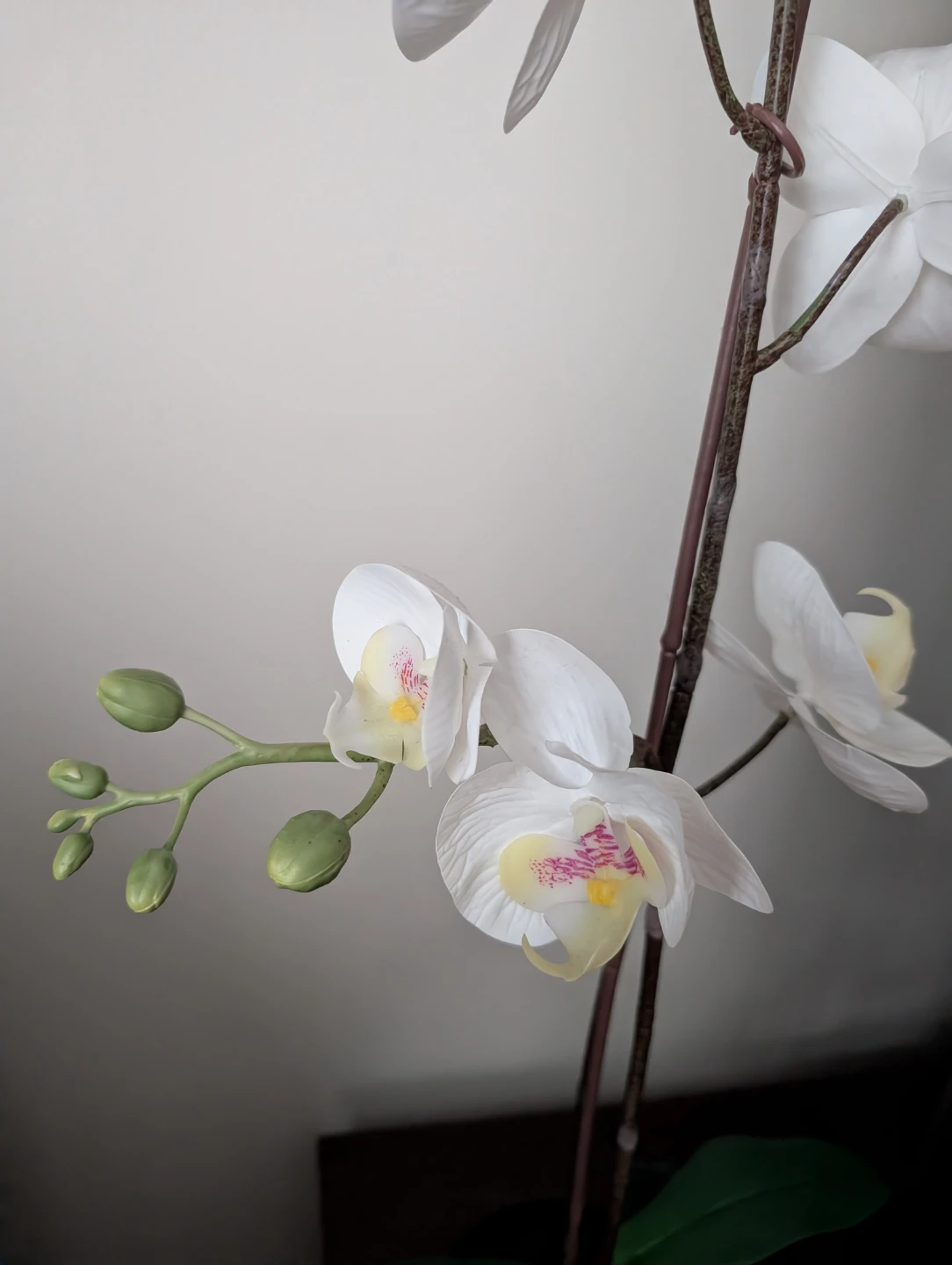 IKEA MUSKOT Plant Pot with Artificial Orchid - photo 4