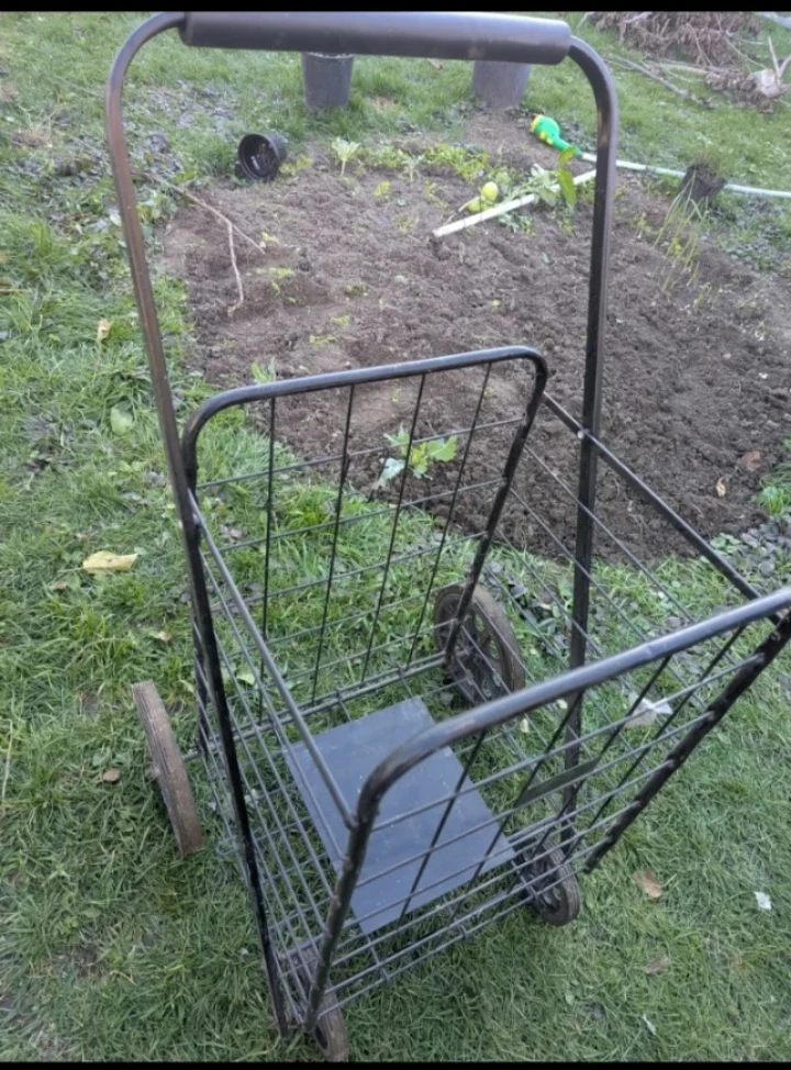 Shopping Cart Trolley - photo 2