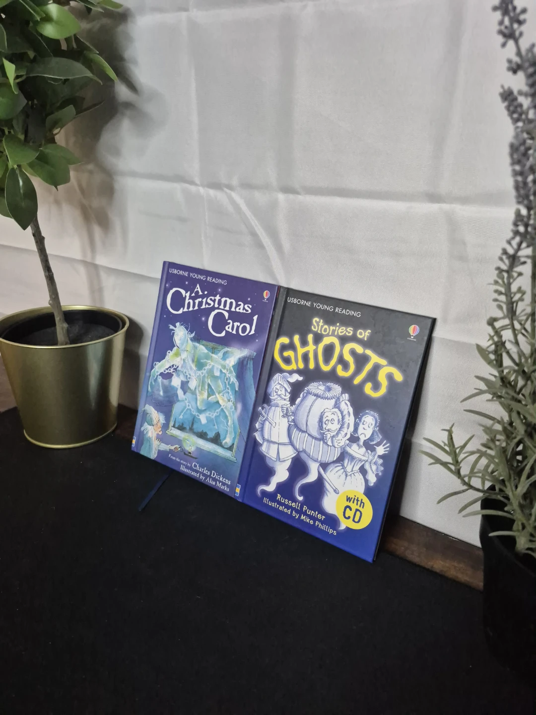 Usborne Young Reading Books