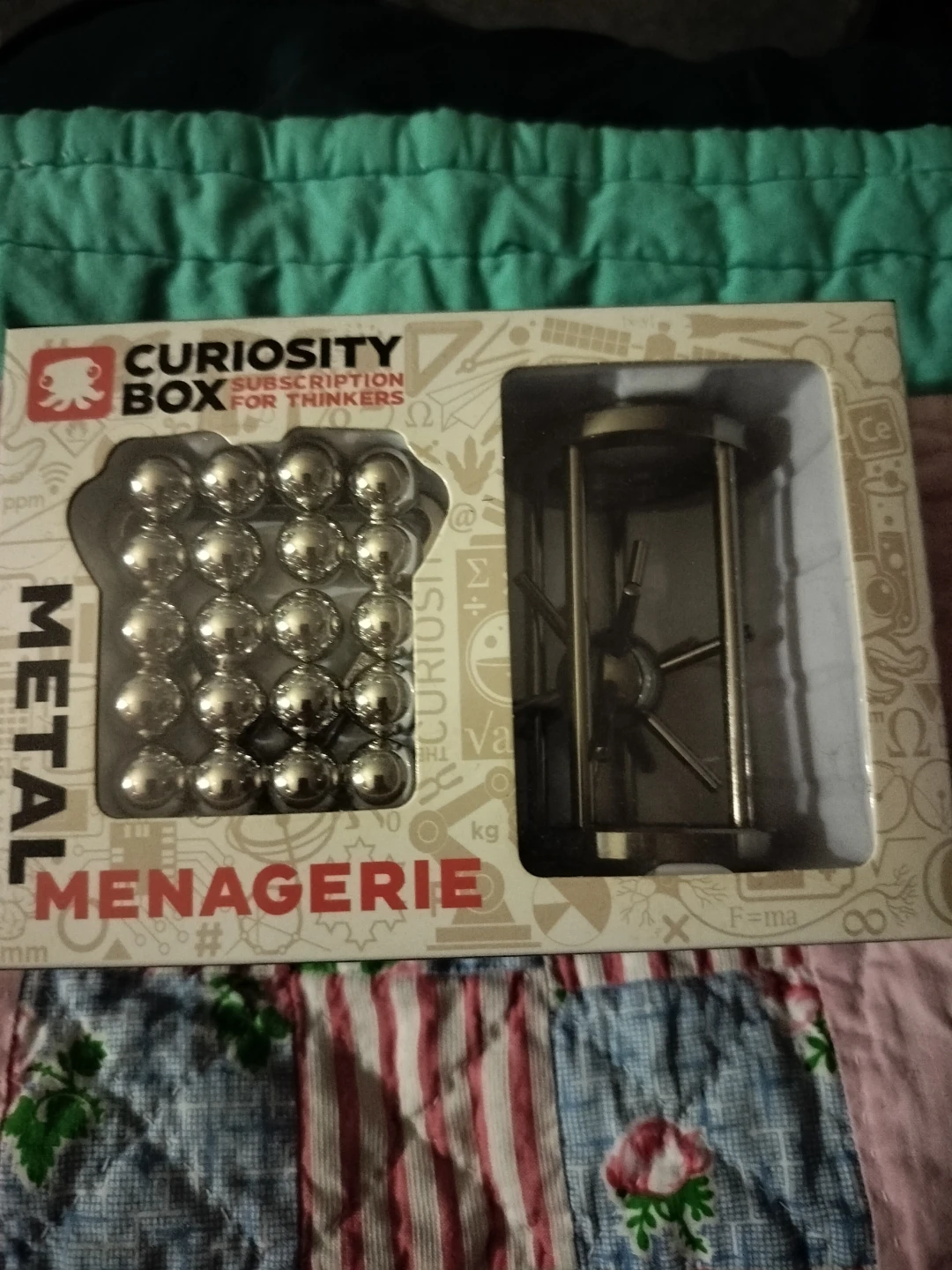 Curiosity Box Metal Menagerie Brain Puzzles