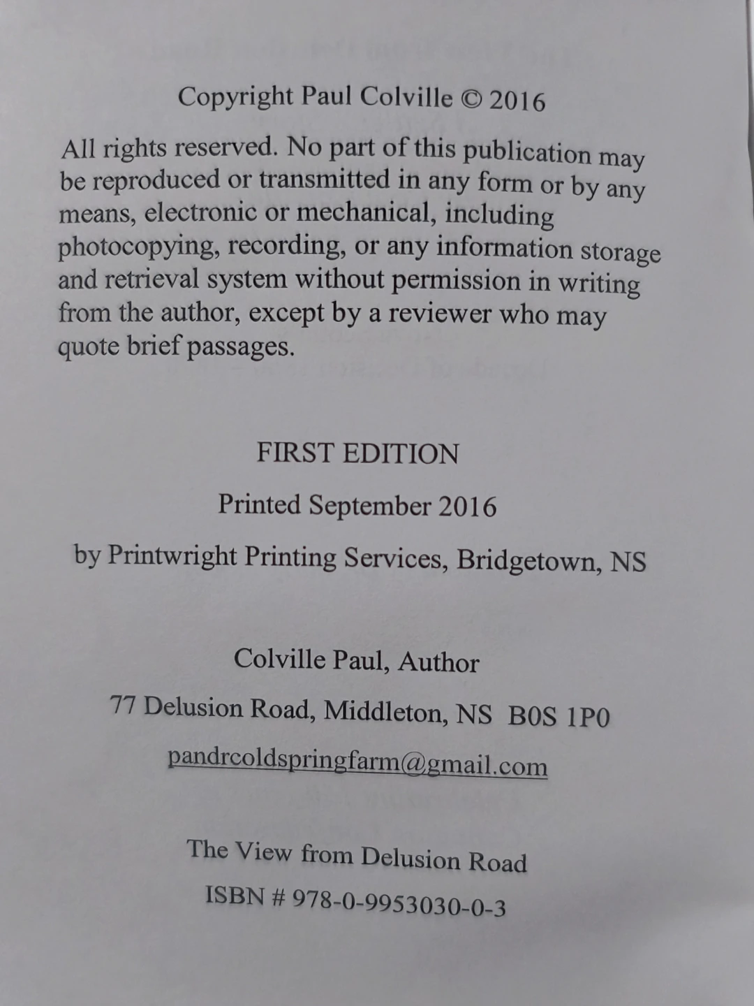 The View From Delusion Road by Paul Colville - photo 3