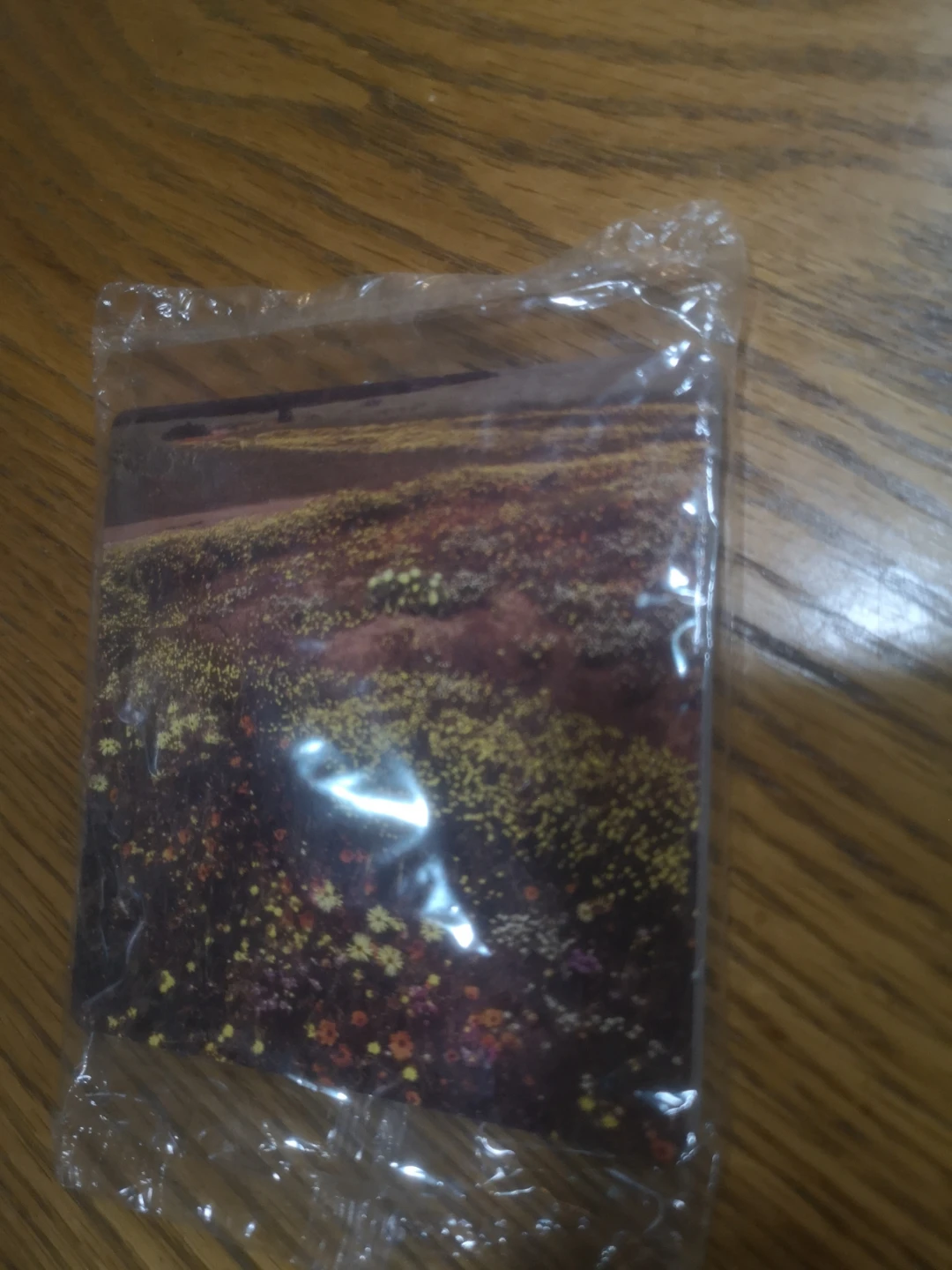 🧡 BNIB coasters