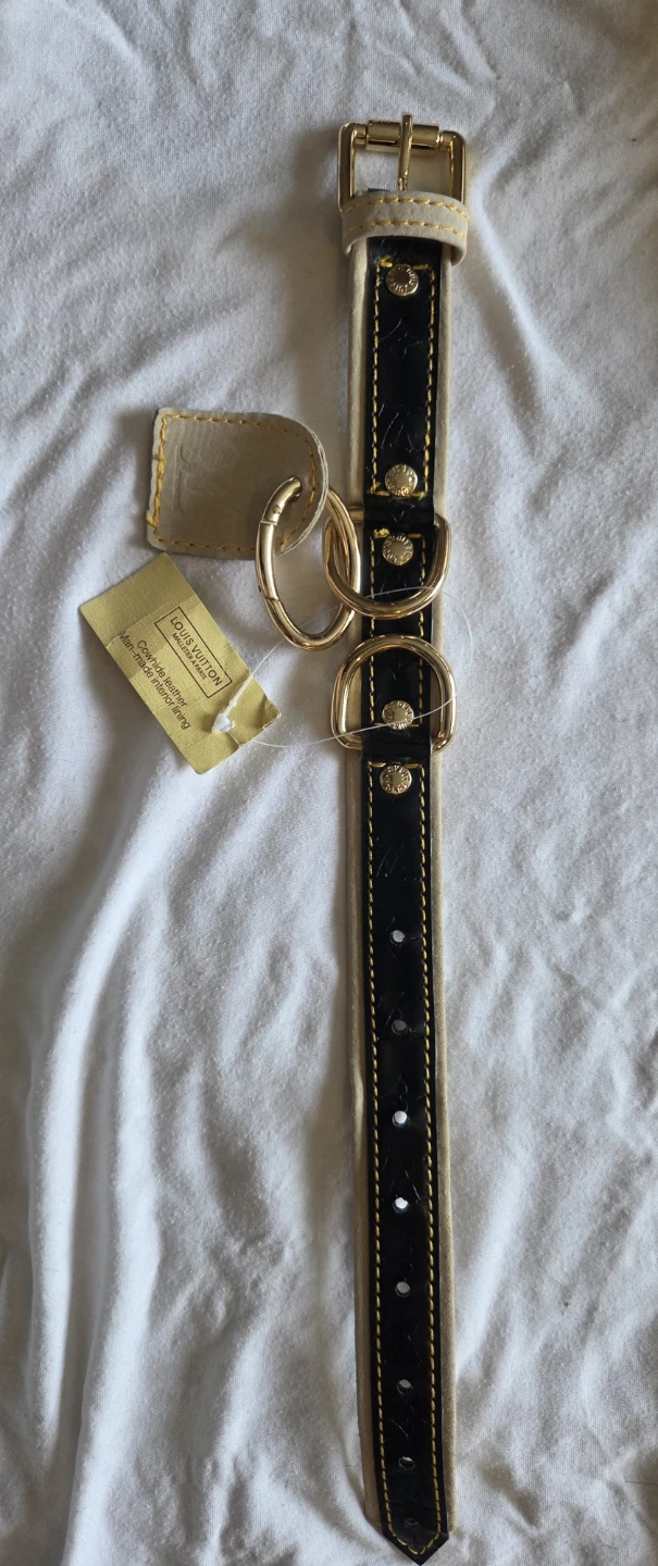 Louis Vuitton designer small Dog Collar
