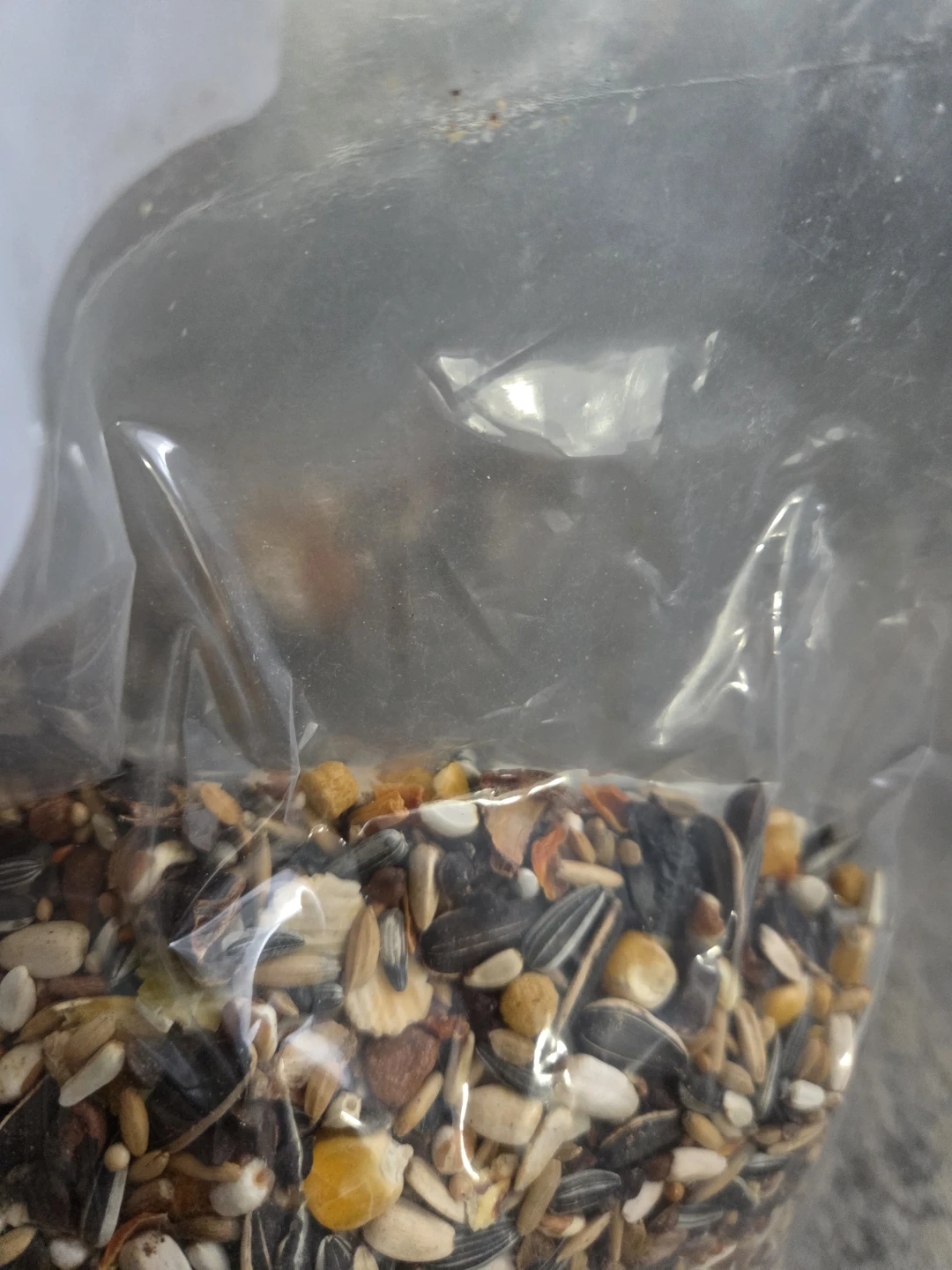 Hagen Gourmet Parrot Food Mix . 2 bags. - photo 3