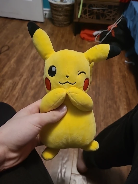 Pikachu Plush Toy 🥕