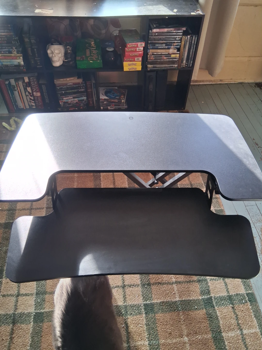FlexiSpot Standing Desk Converter