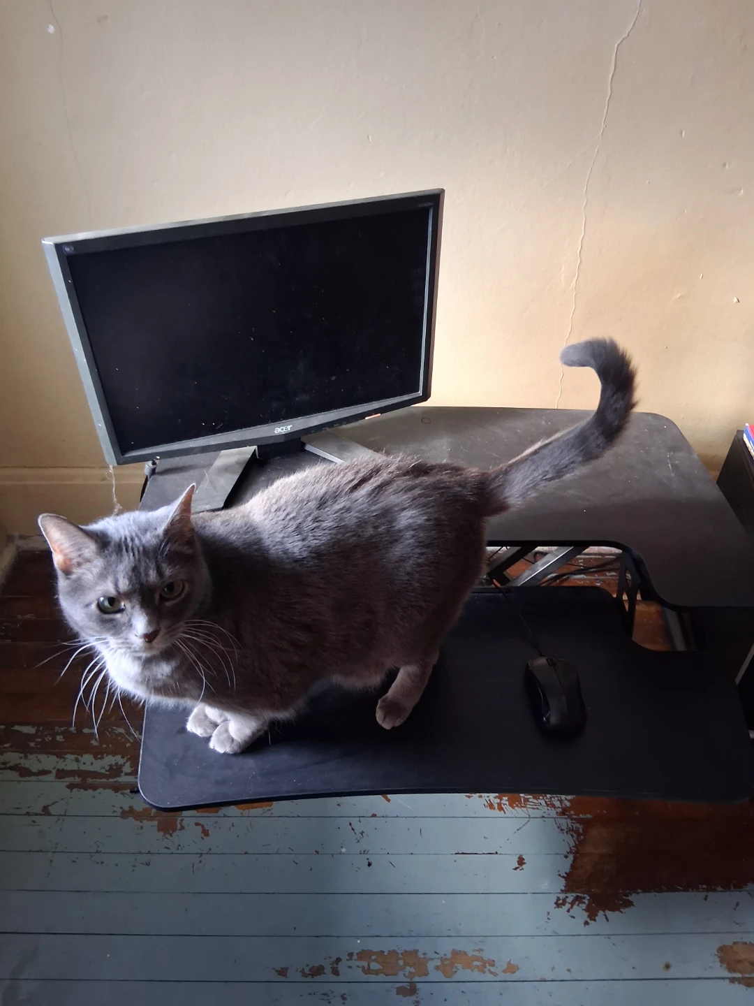 FlexiSpot Standing Desk Converter - photo 5