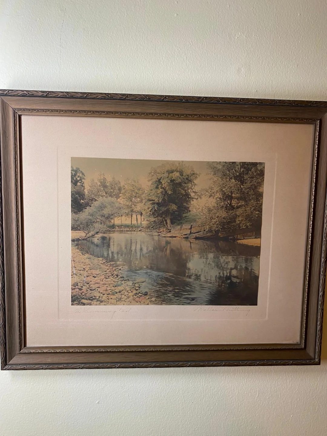 The Swimming Pool Framed Print