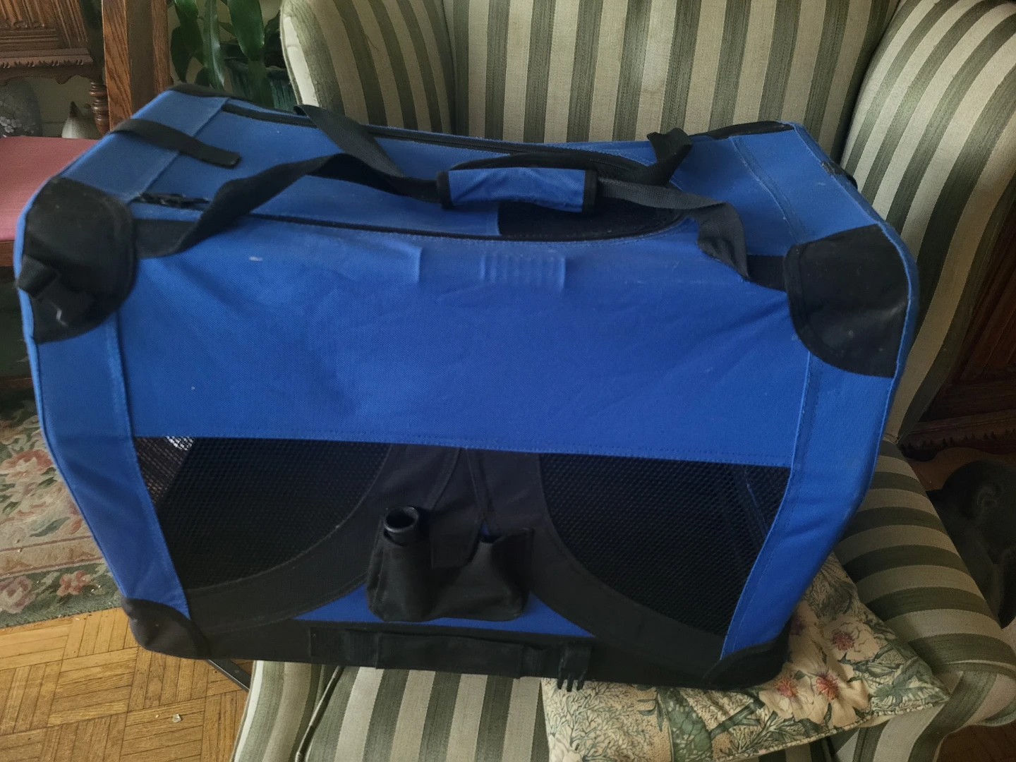 Blue Pet Carrier - large