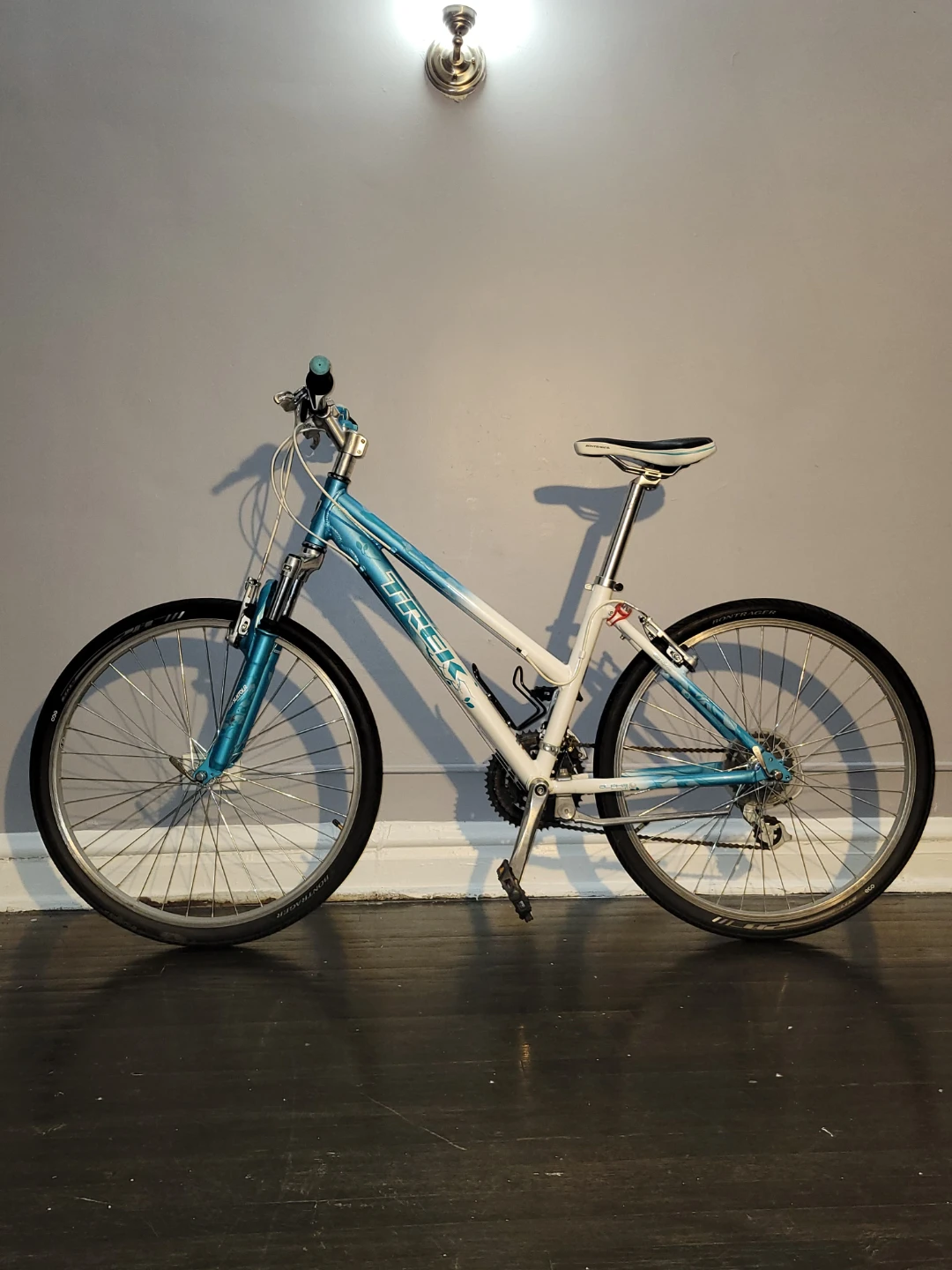 Trek Dual Sport Bicycle