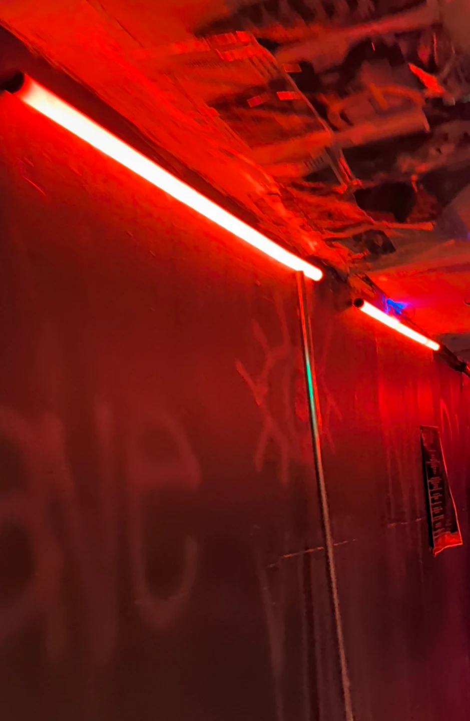 Led Neon Tube Light