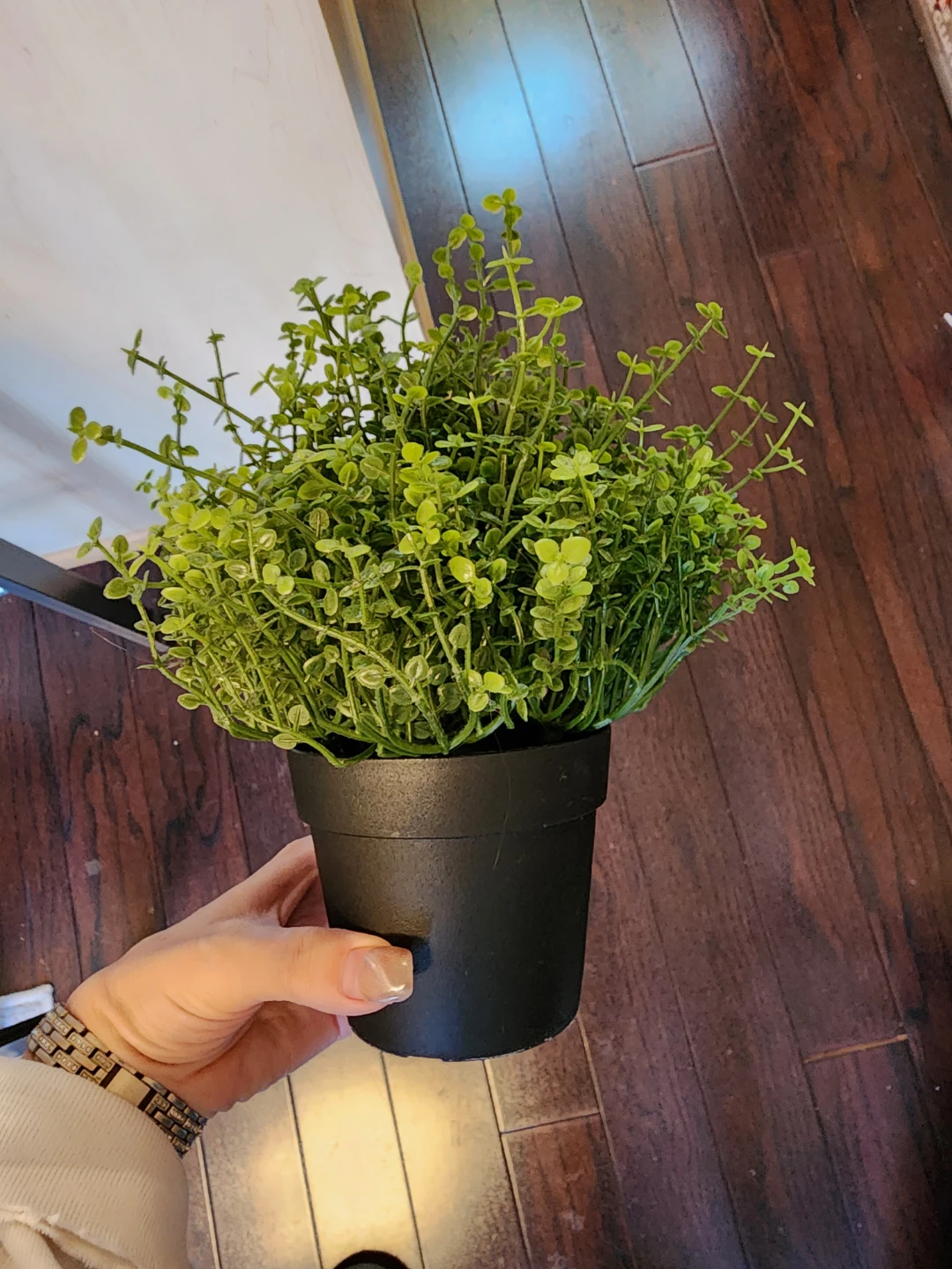 🥕 Artificial Potted Plant