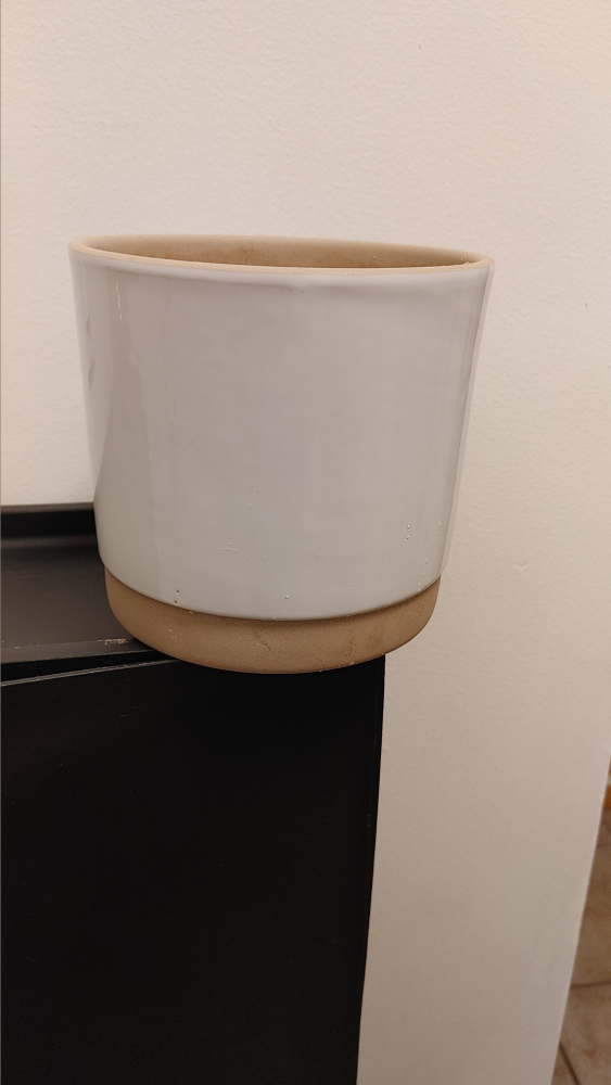 White Ceramic Planter