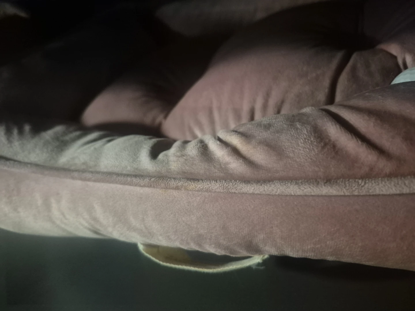 Dog Bed - Plush & Comfy