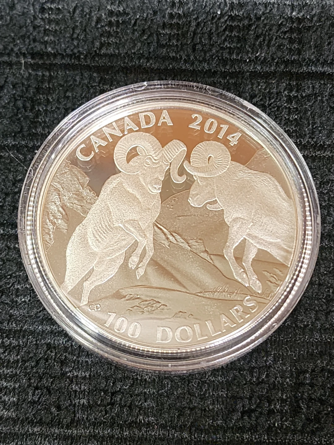 Canada 2014 $100 Silver Coin