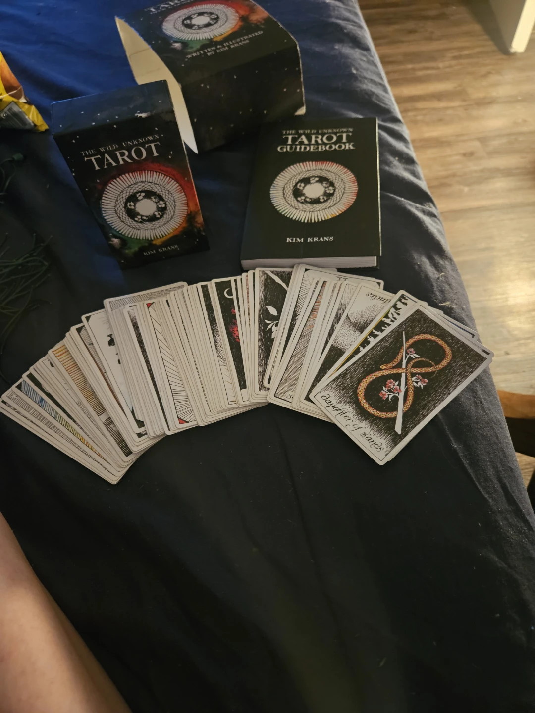 The Wild Unknown Tarot Deck & Guidebook - photo 3