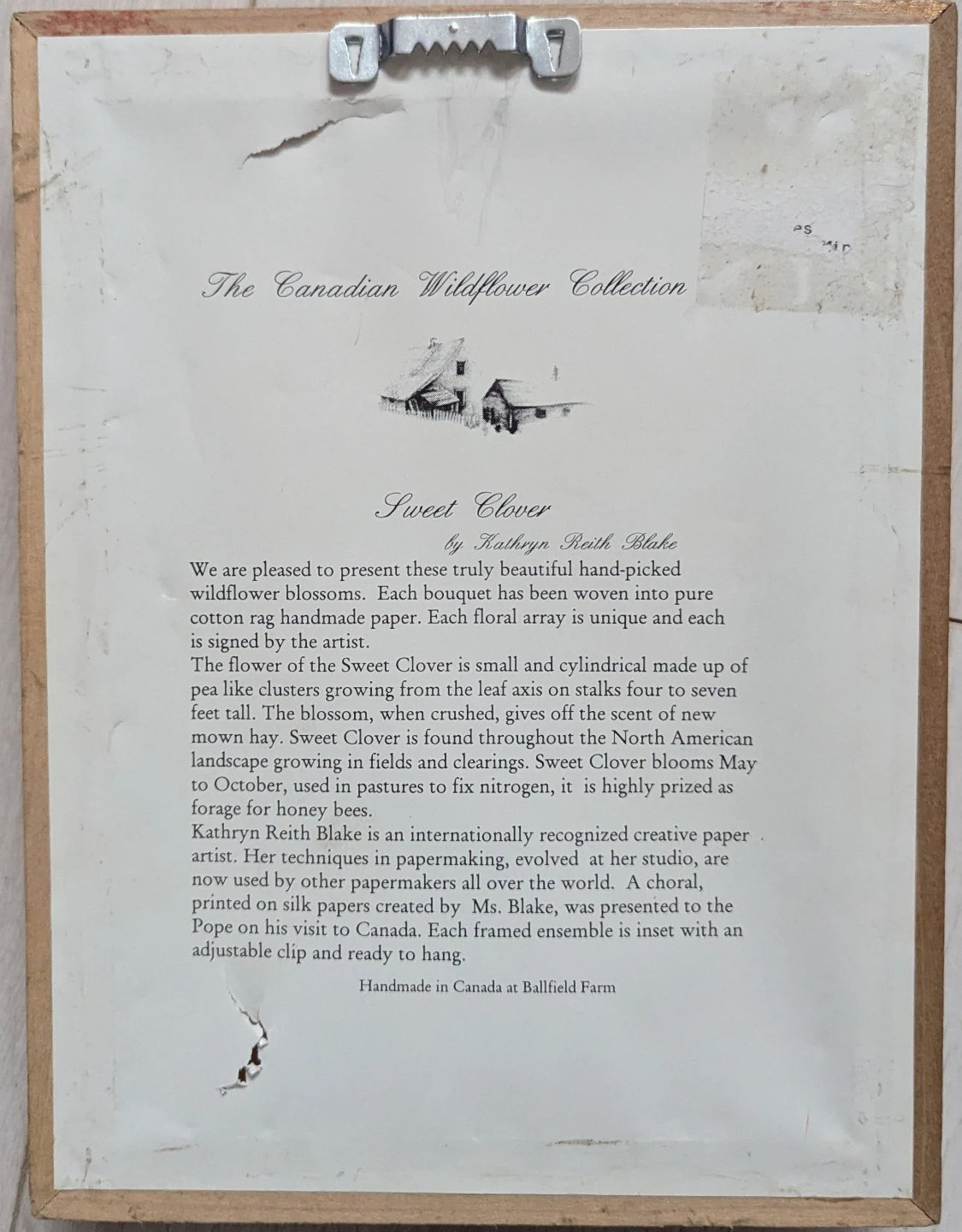 Original Botanical Art – Handmade Paper by Kathryn Reith Blake - photo 2