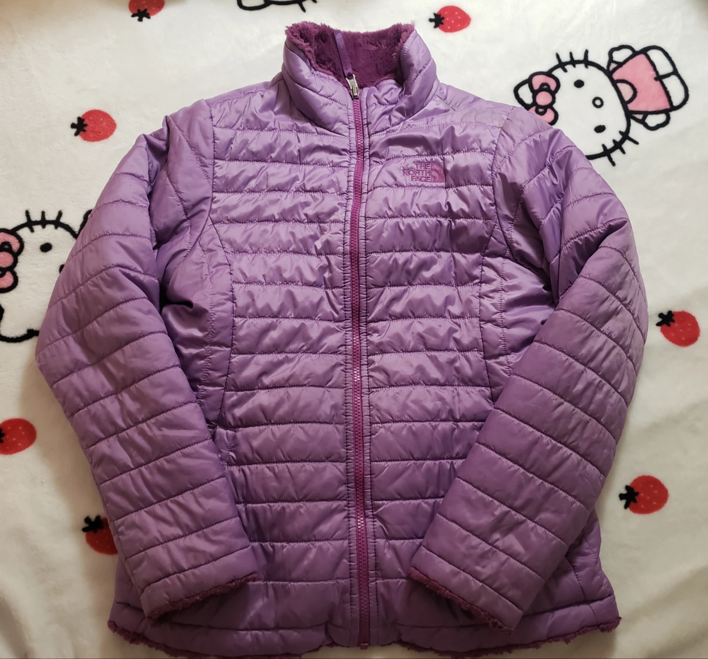 The North Face Reversible Jacket