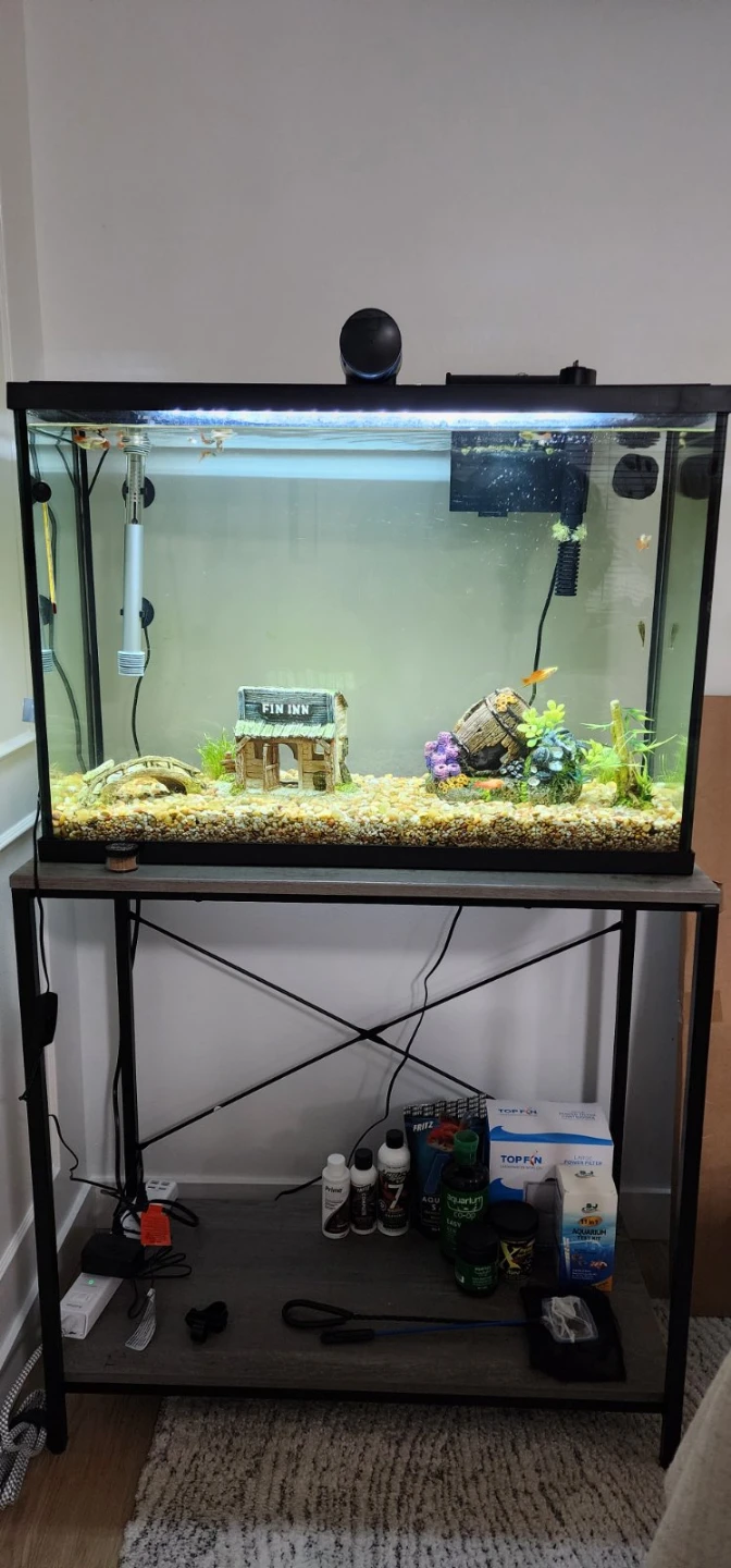 30 Gallon Aquarium Fish Tank + Accessories 