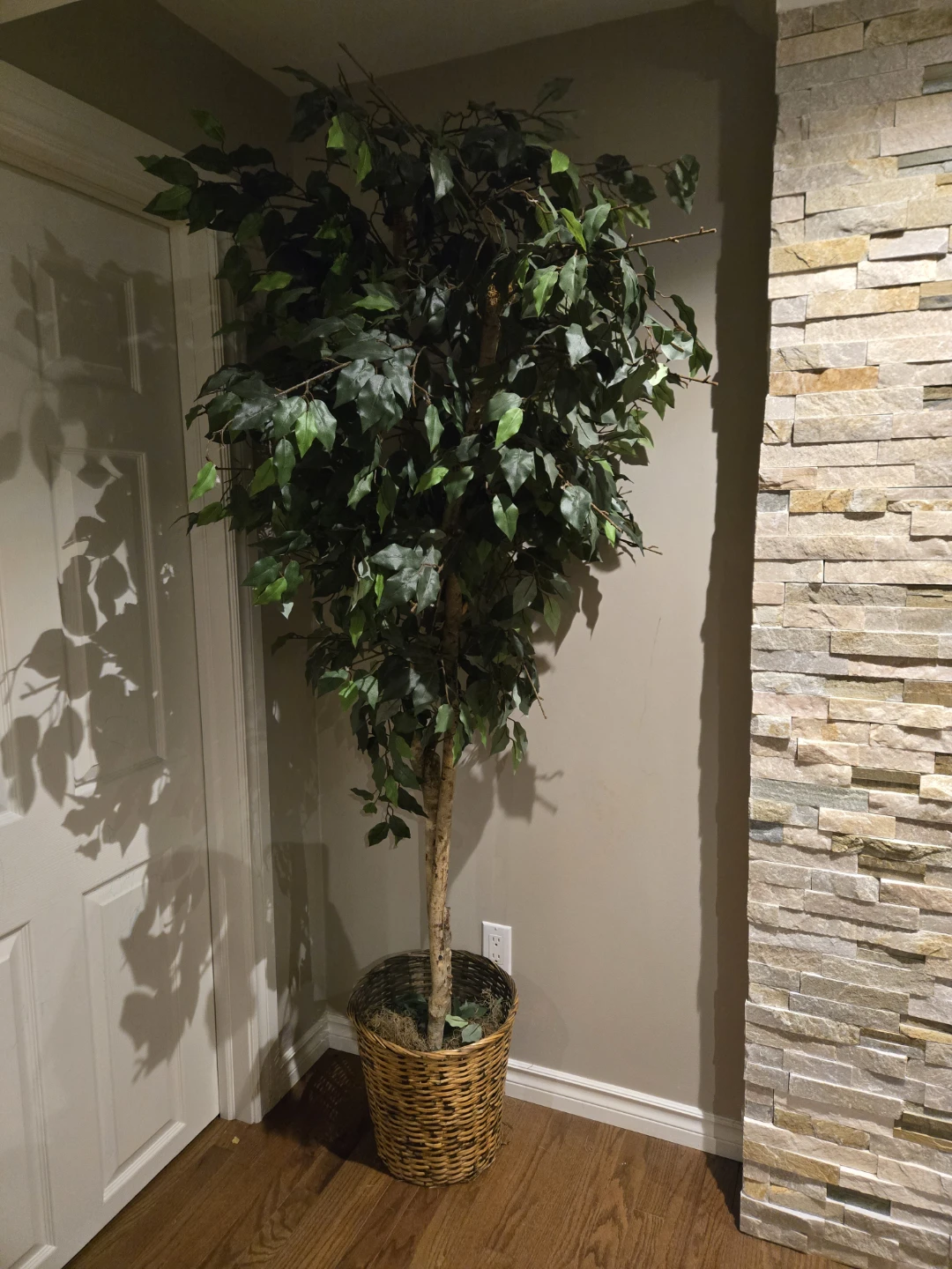 Faux Ficus Tree in Basket