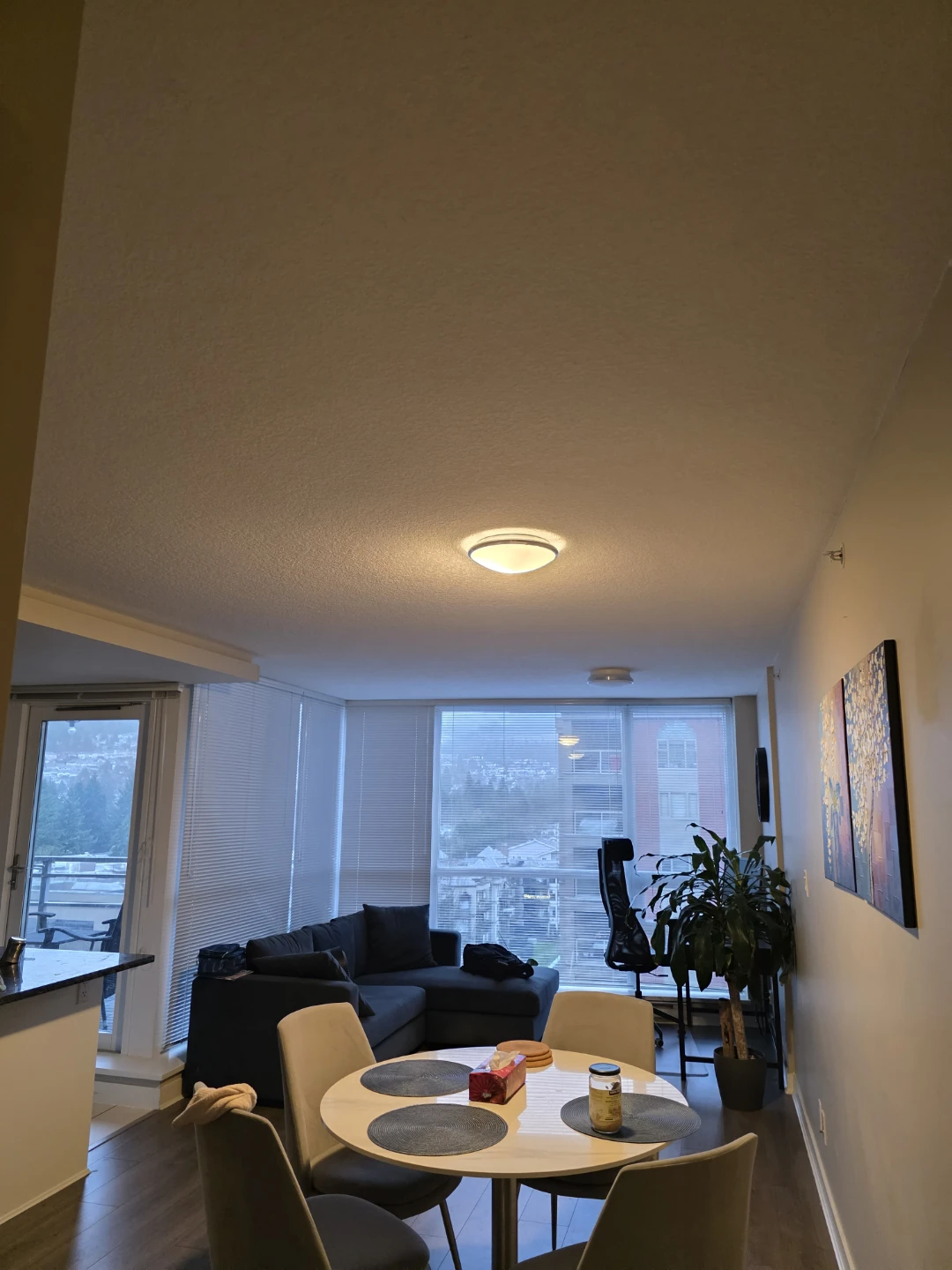 Flush Mount Ceiling Light