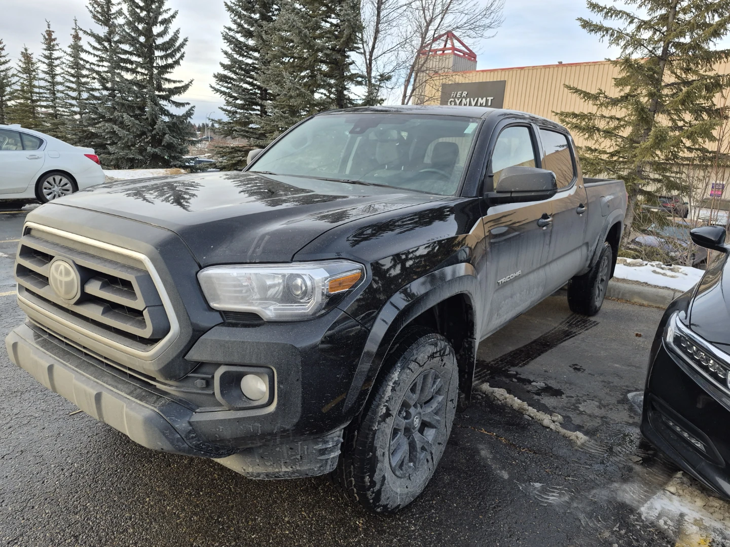 2023 tacoma sr5