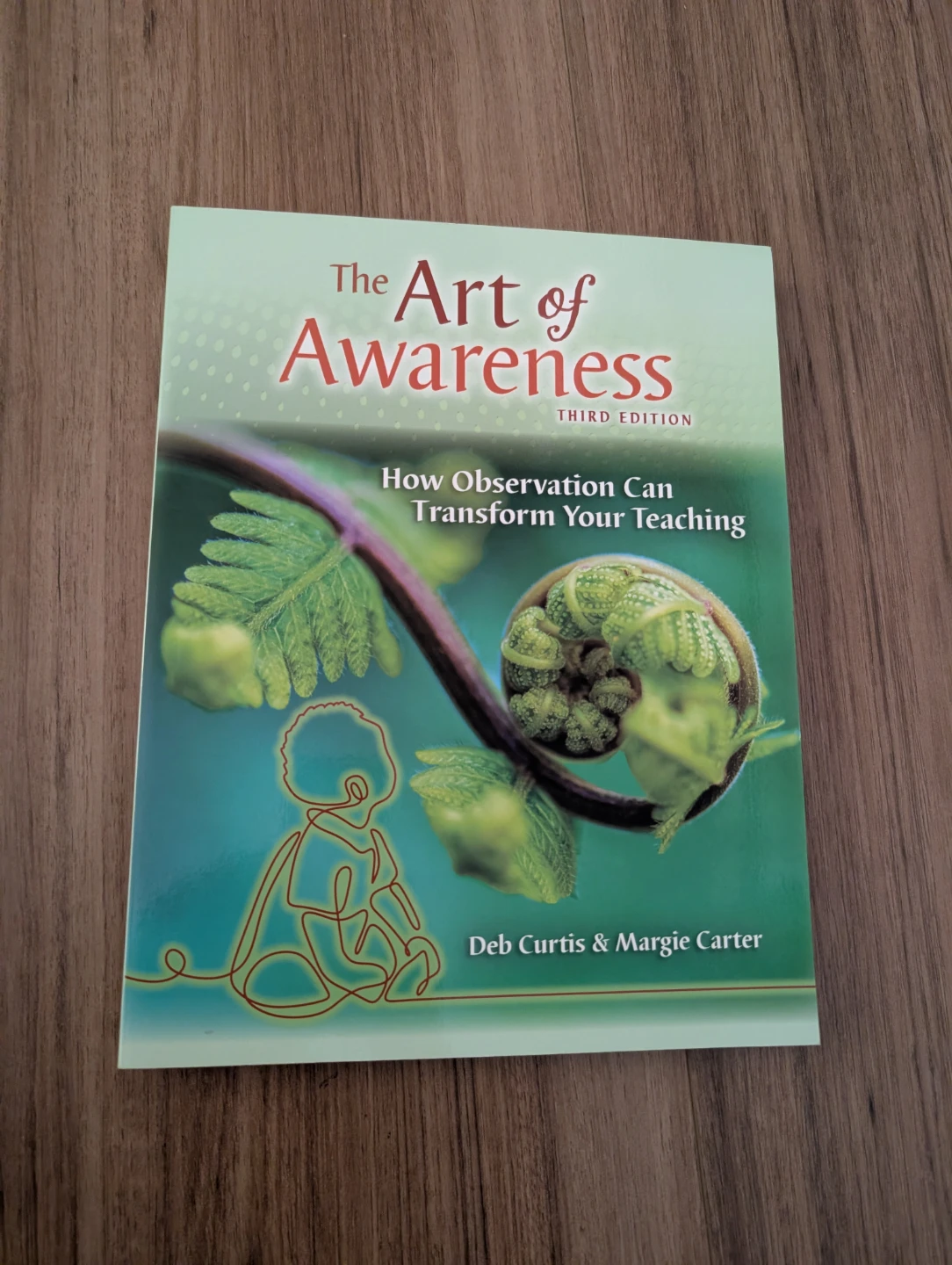 The Art of Awareness by Deb Curtis and Margie Carter