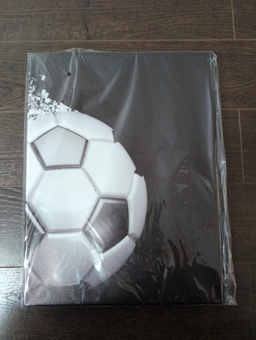 Soccer Ball Canvas Wall Art