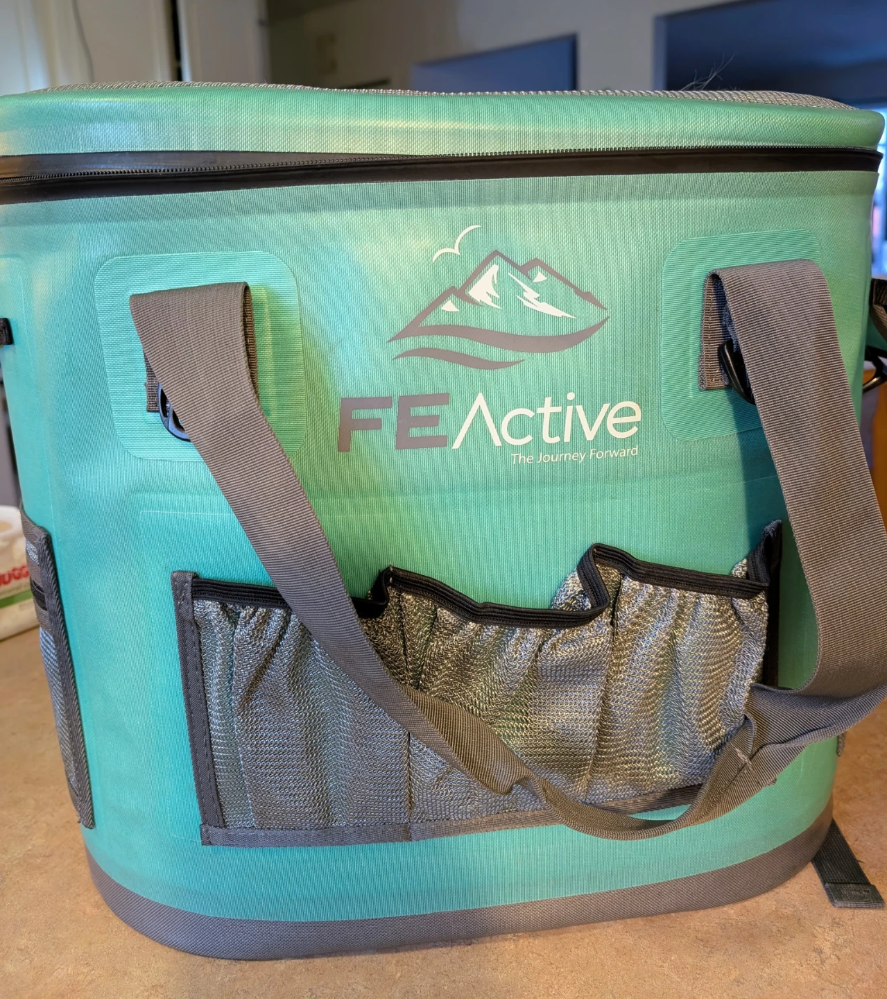 FEActive Teal Insulated Cooler Backpack